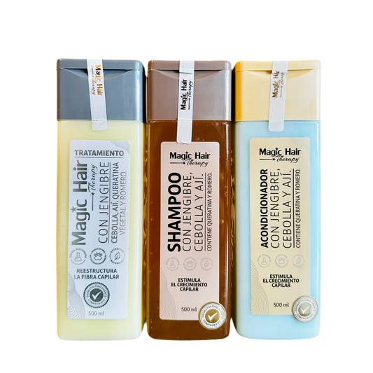KIT CHAMPÚ Y ACONDICIONADOR GENGIBRE + TRATAMIENTO